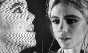 Edie Sedgwick