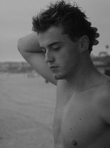 Edin Gali #2455959 picture (Portrait Medium)