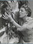 Edna Ferber