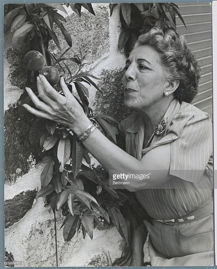 Edna Ferber