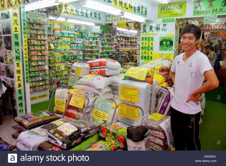 Edward Hong