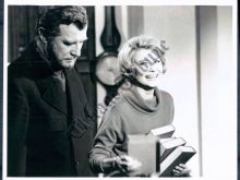 Edward Mulhare photo