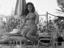 Edy Williams