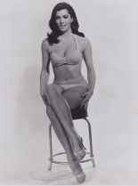 Edy Williams