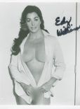 Edy Williams