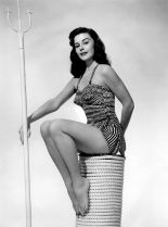 Elaine Stewart