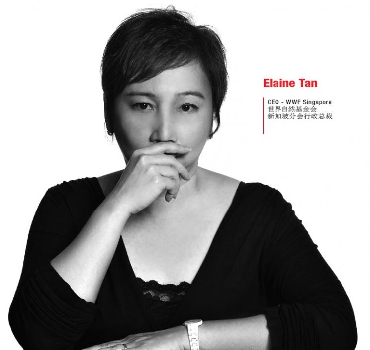 Elaine Tan
