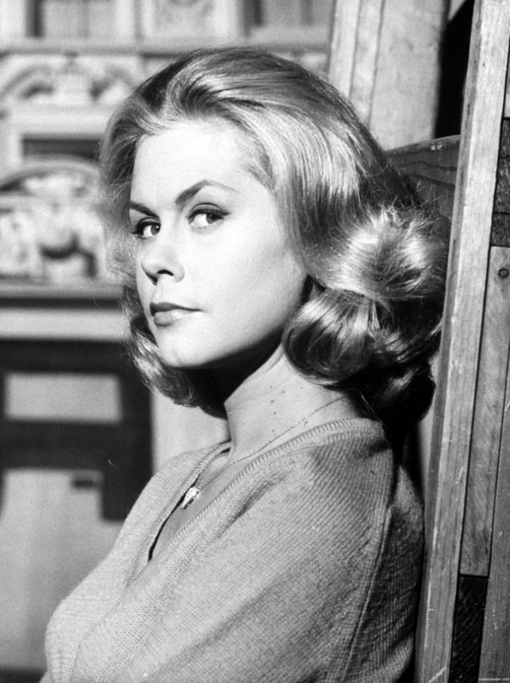 Elayne Heilveil