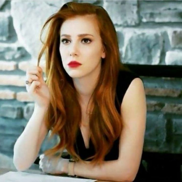 Elçin Sangu