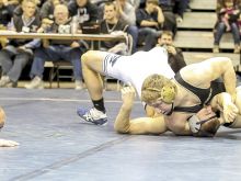 Eli Craig photo