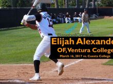 Elijah Alexander #3817977 picture (Landscape Medium)
