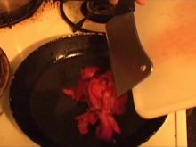 Elisa Moolecherry