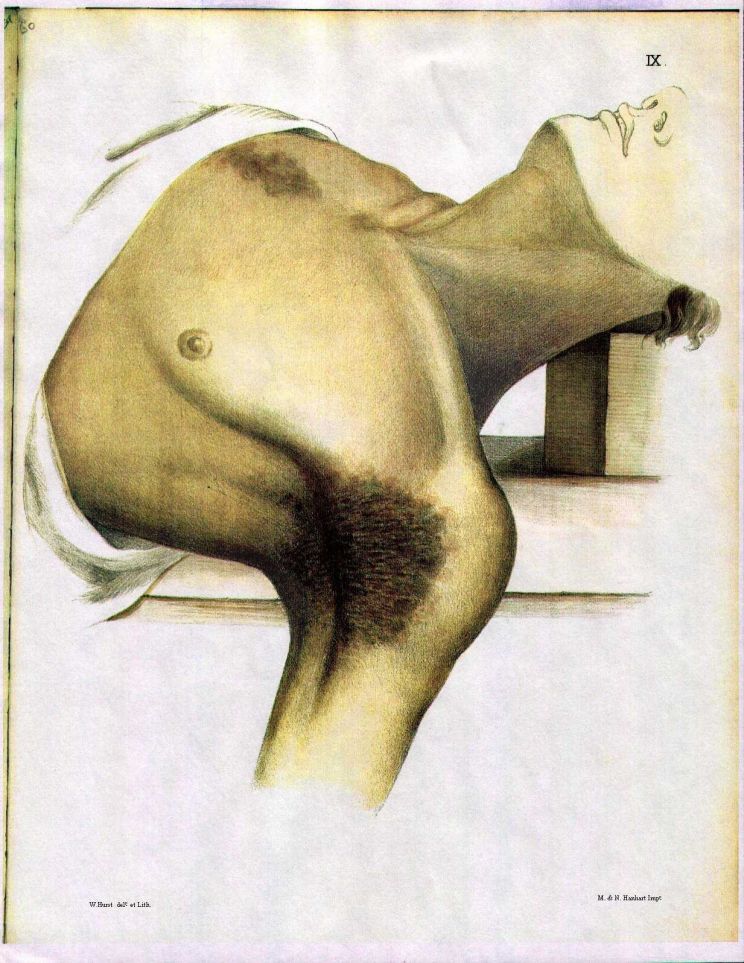 Elizabeth Lawrence