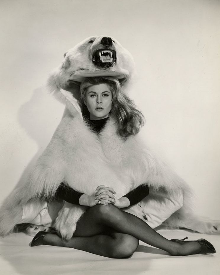 Elizabeth Montgomery