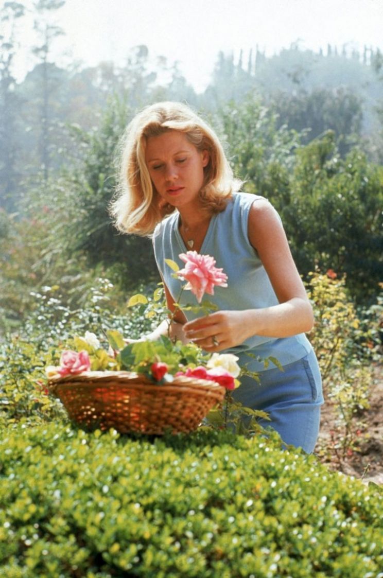 Elizabeth Morehead
