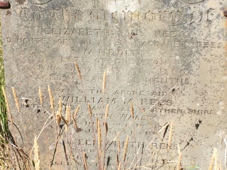 Elizabeth Rees