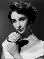 Elizabeth Taylor #43292 picture (Portrait Medium)