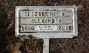Elizabeth W. Alexander