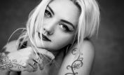 Elle King