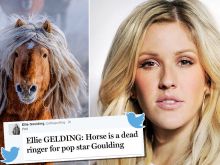 Ellie Goulding