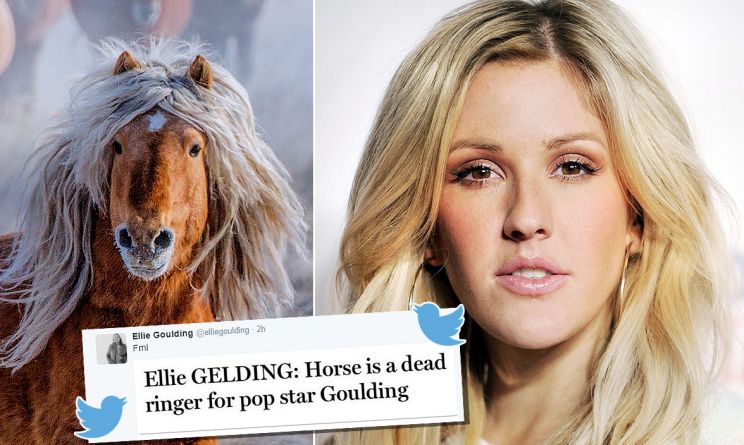 Ellie Goulding