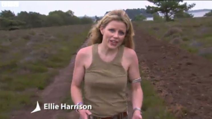 Ellie Harrison