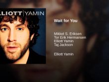 Elliott Yamin