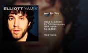 Elliott Yamin