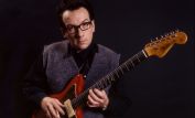 Elvis Costello