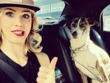 Emily Bett Rickards #19651 picture (Landscape Medium)