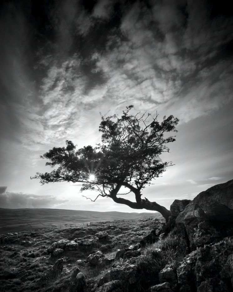 Emily Brontë