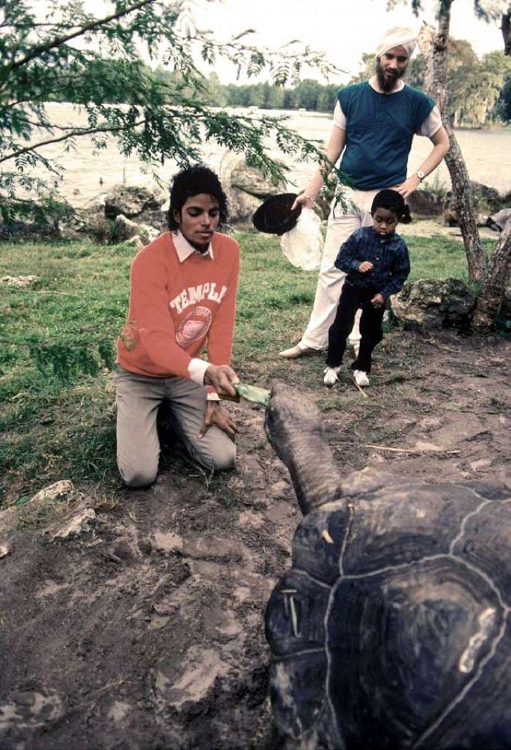 Emmanuel Lewis