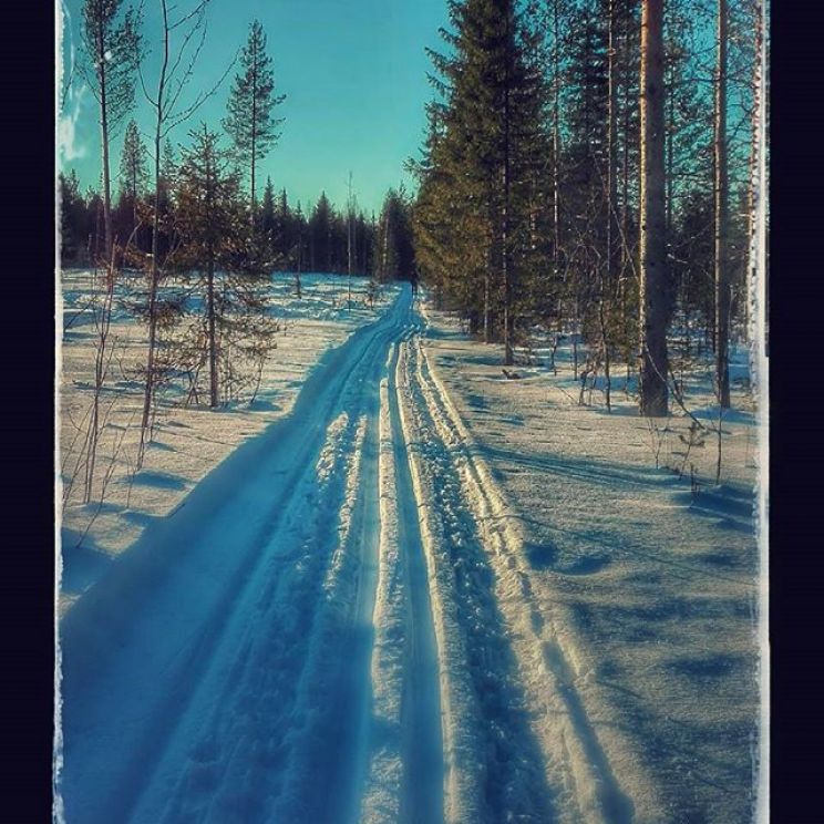 Enni Ojutkangas