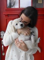 Enzo the Dog