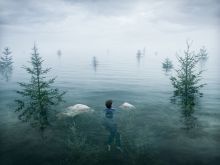 Erik Johansson