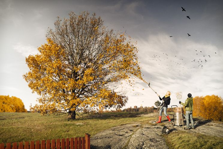 Erik Johansson