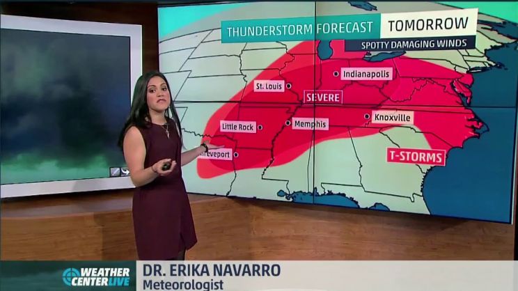 Erika Navarro