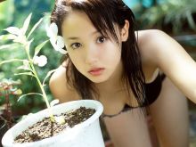 Erika Sawajiri photo