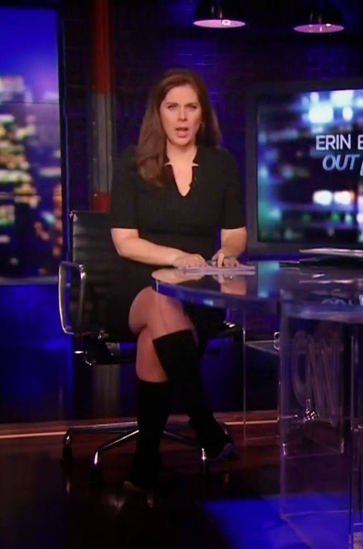 Browse and download High Resolution Erin Burnett's Picture