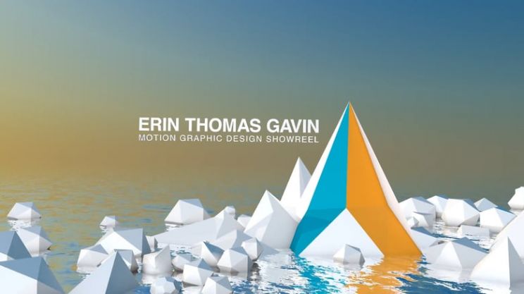 Erin Gavin