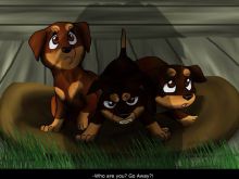 Erin Hunter