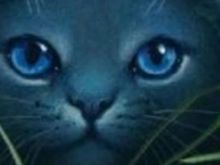 Erin Hunter