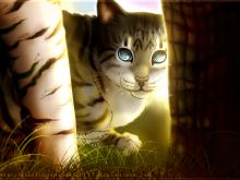 Erin Hunter