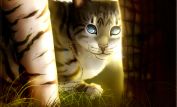 Erin Hunter