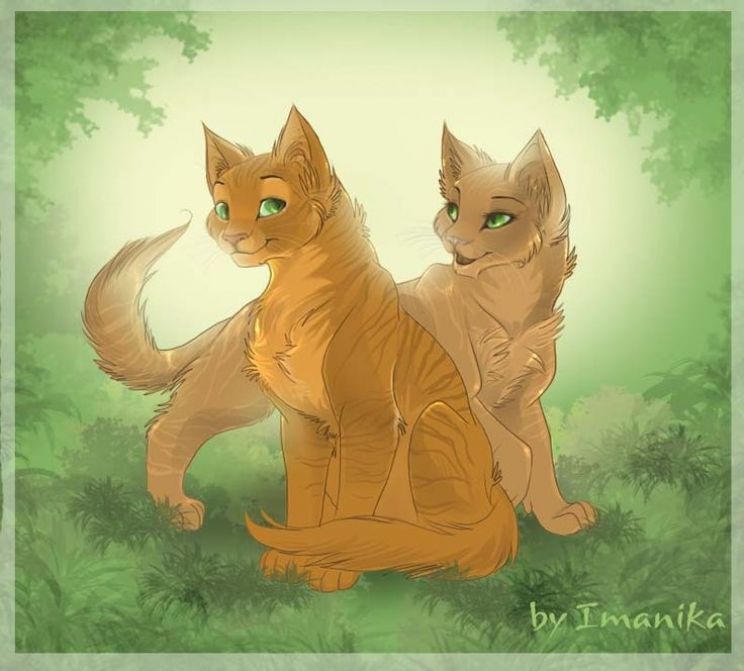 Erin Hunter