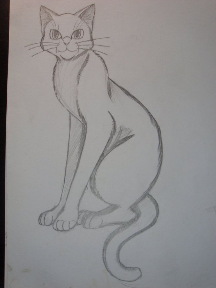 Erin Hunter