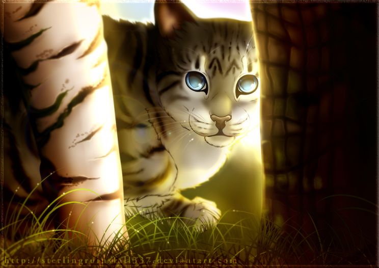 Erin Hunter