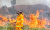 Ernie Dingo