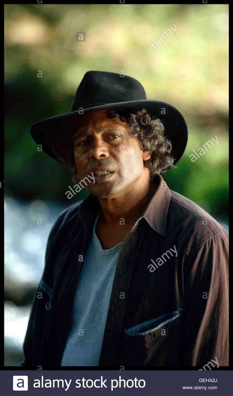 Ernie Dingo