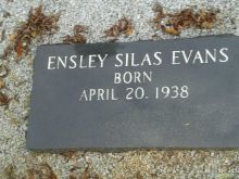 Estelle Evans
